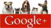 Google+